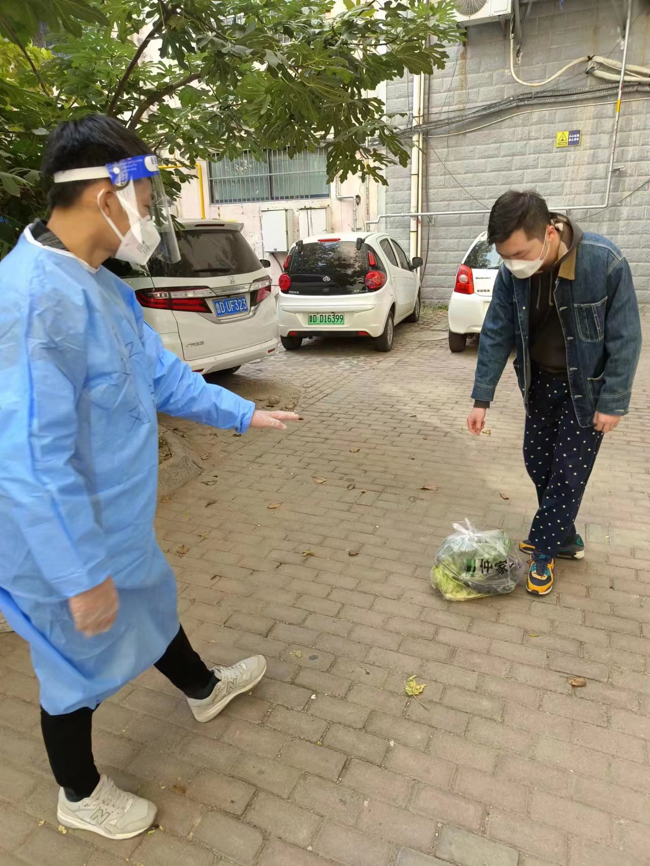 1666868586185525.jpg 1.jpg